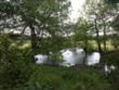 image of pool at Ride Farm